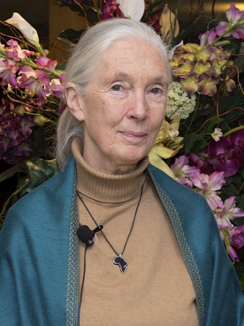 Retrato de Jane Goodall